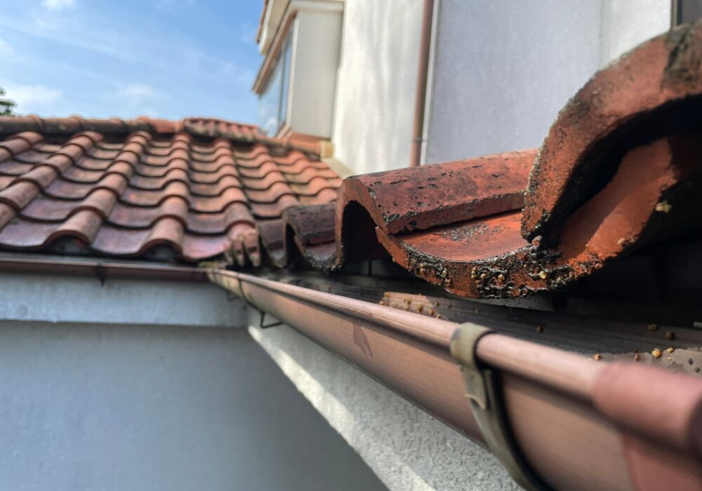 LINE_ALBUM_竹谷様邸_220509_17