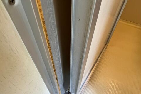 LINE_ALBUM_(before)サクラハイツ202号　網戸_220509_0