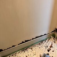 LINE_ALBUM_近江ハイツ201号　(扉×2.ドアノブ、塗装、浴室壁)_220301.jpg